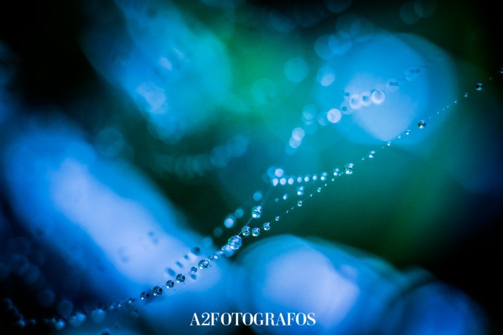 fotografía-producto-vitoria-pais-vasco-fotografo-publicidad-a2fotografos-curso-aprender-divertido