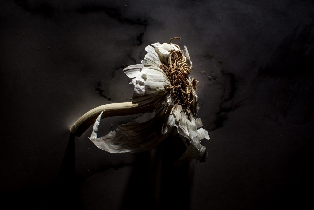 Fotógrafo Vitoria, País vasco y Madrid. Fotografía producto.