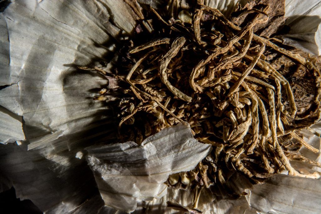 a2fotografos foto publicidad producto marketing foodphoto ajos (4 de 29)