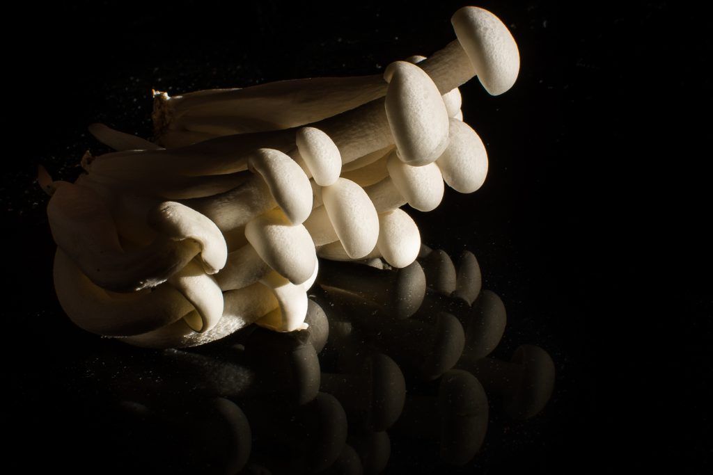 a2fotografos foto publicidad producto marketing foodphoto shimmeji (1 de 7)