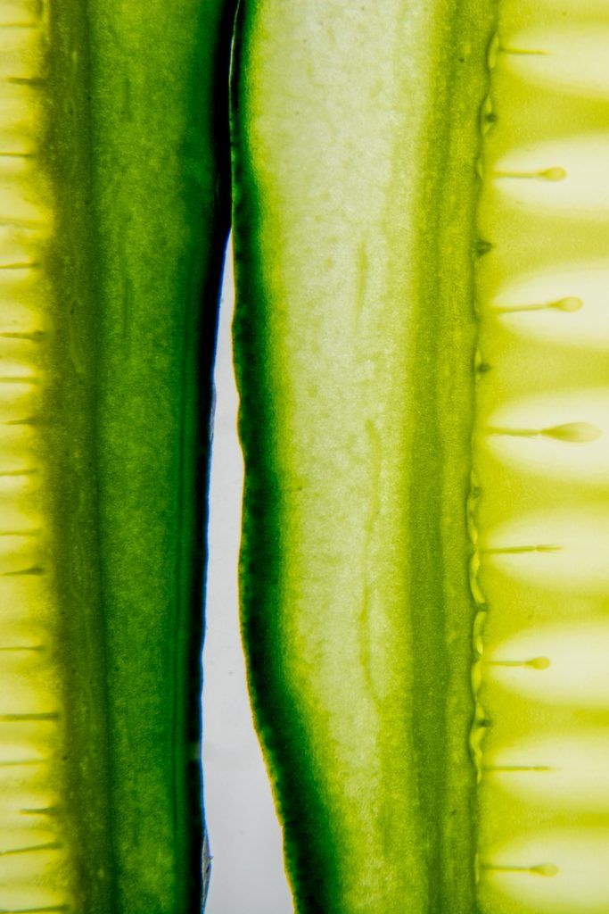 Fotografía-producto-vitoria-pais-vasco-fotografo-publicidad