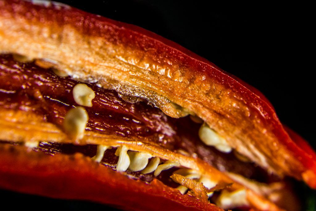 Fotografía producto