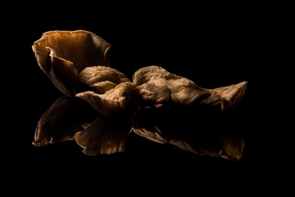 a2fotografos foto publicidad producto setas piminetos (11 de 15)