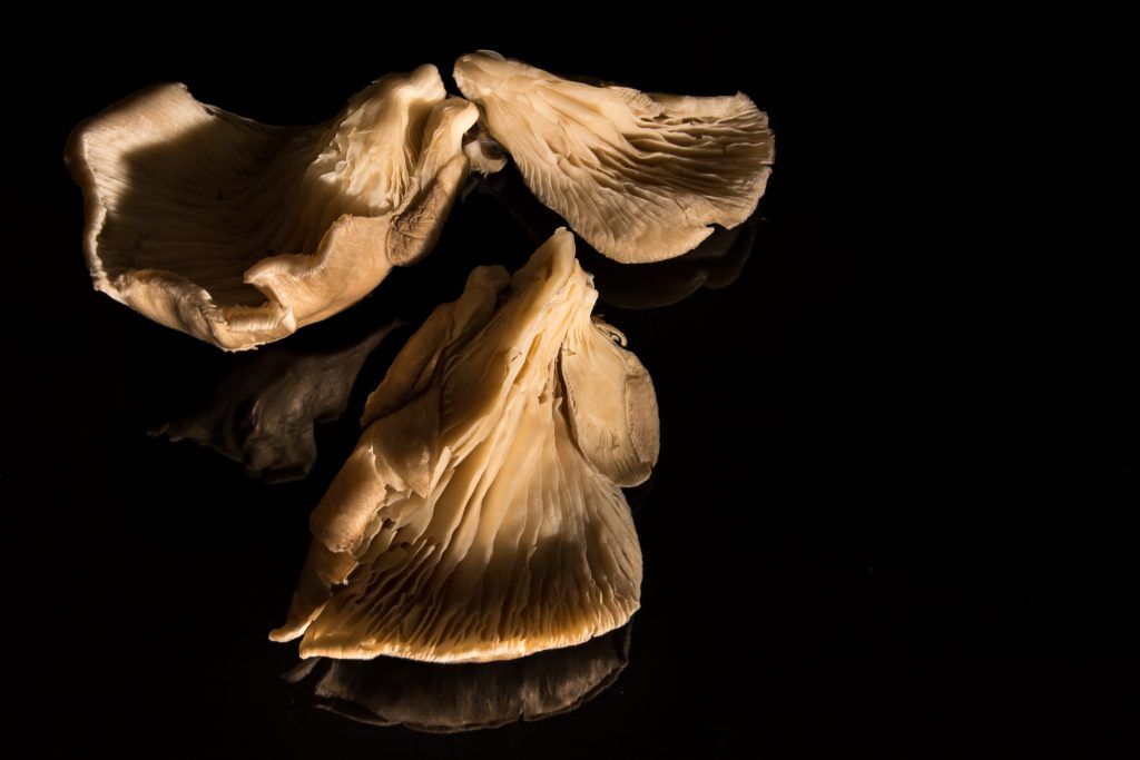 a2fotografos foto publicidad producto setas piminetos (2 de 15)