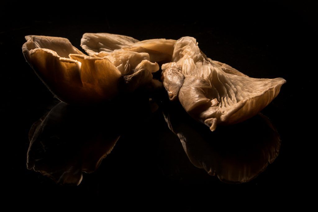 a2fotografos foto publicidad producto setas piminetos (8 de 15)