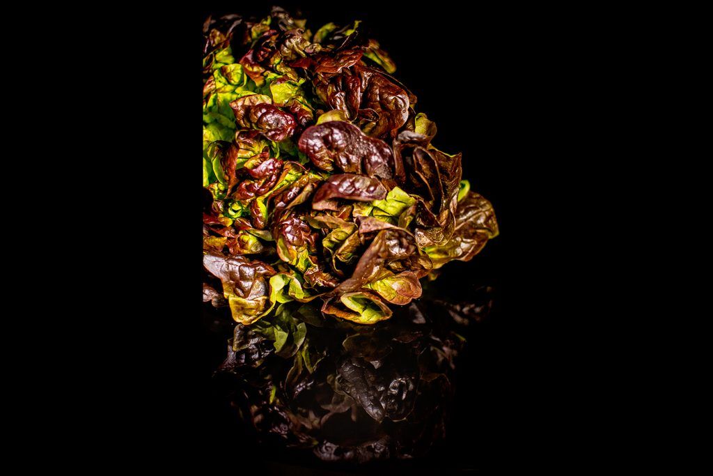 A2fotografos producto publicidad lechuga (30 de 2)