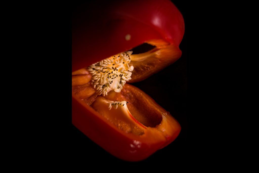 fotografía-producto-vitoria-pais-vasco-fotografo-publicidad-a2fotografos