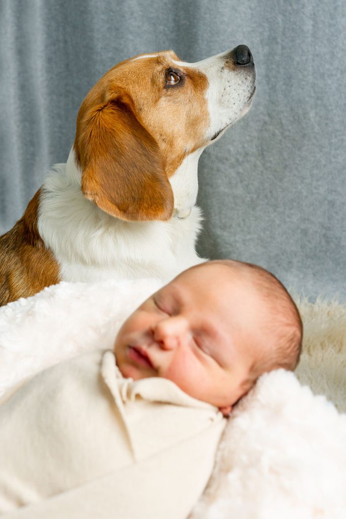 newborn bebe vitoria gasteiz fotografía fotografa fotografo