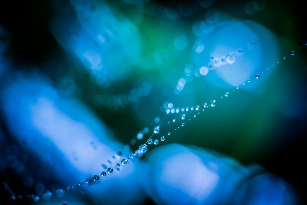 curso infantil fotografia vitoria a2fotografos