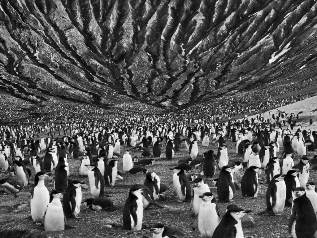 curso culturales ayuntamiento vitoria gasteiz fotografia retrato a2fotografos 6