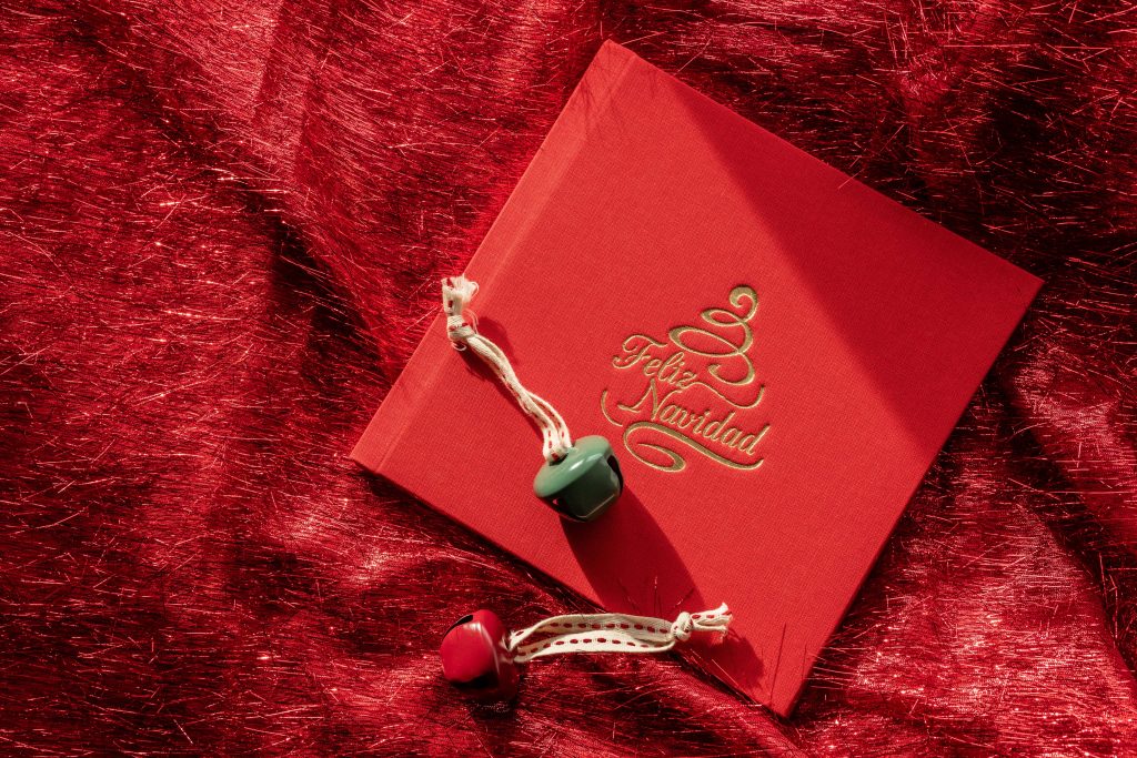 Sesiones-navidad-vitoria-a2fotografos-fotografia-infantil-gasteiz