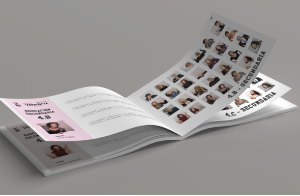 anuario-orla vitoria pais vasco